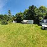 Spacious grass touring pitches surrounded by trees at Brooklands