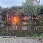Sunset through the trees over the fishing lake at Brooklands